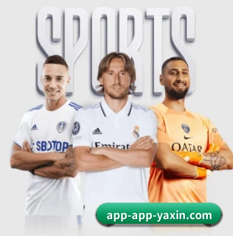 亚新 APP 界面